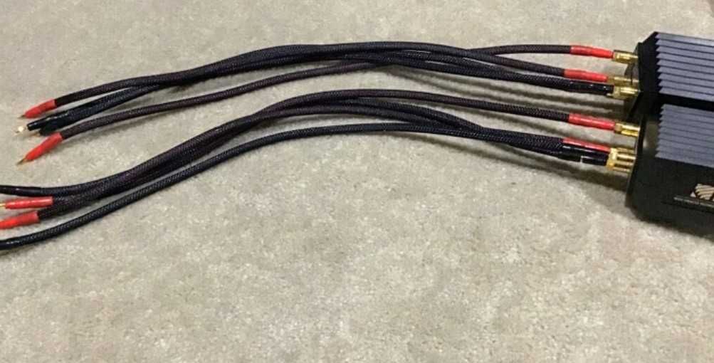 Mit MAGNUM  bi wire