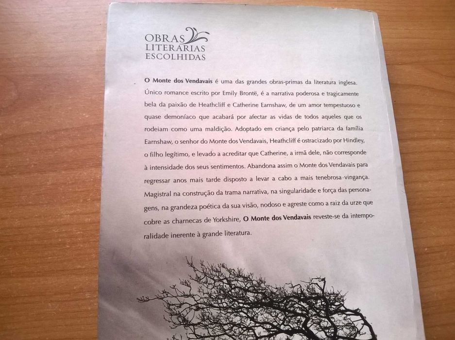 O Monte dos Vendavais - Emily Brontë