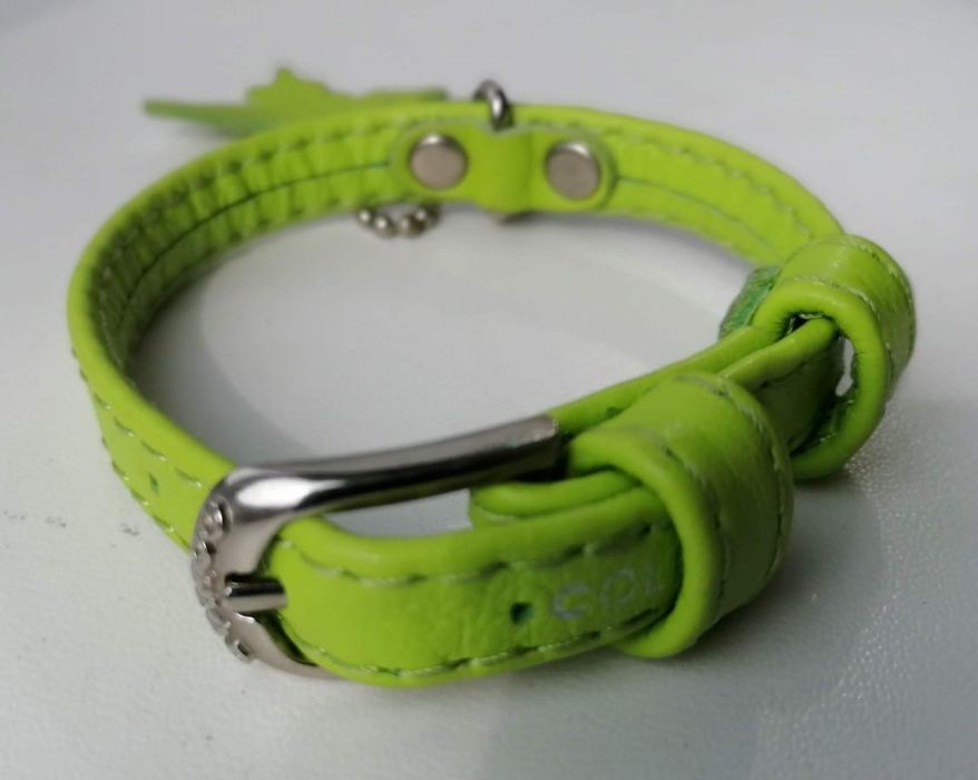 Ошейник для маленьких пород собак новый