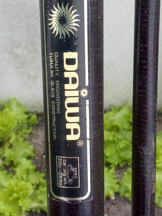 Cana pesca mar Daiwa