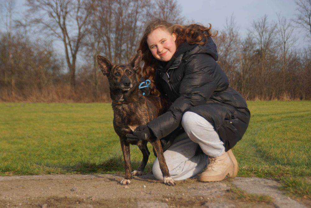 Adora - piekna pręgowana sunia