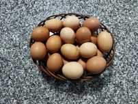 Ovos caseiros 2,50€ a Dúzia