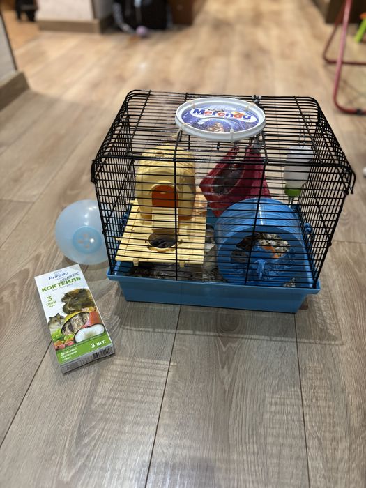 Клітка з хомʼячком