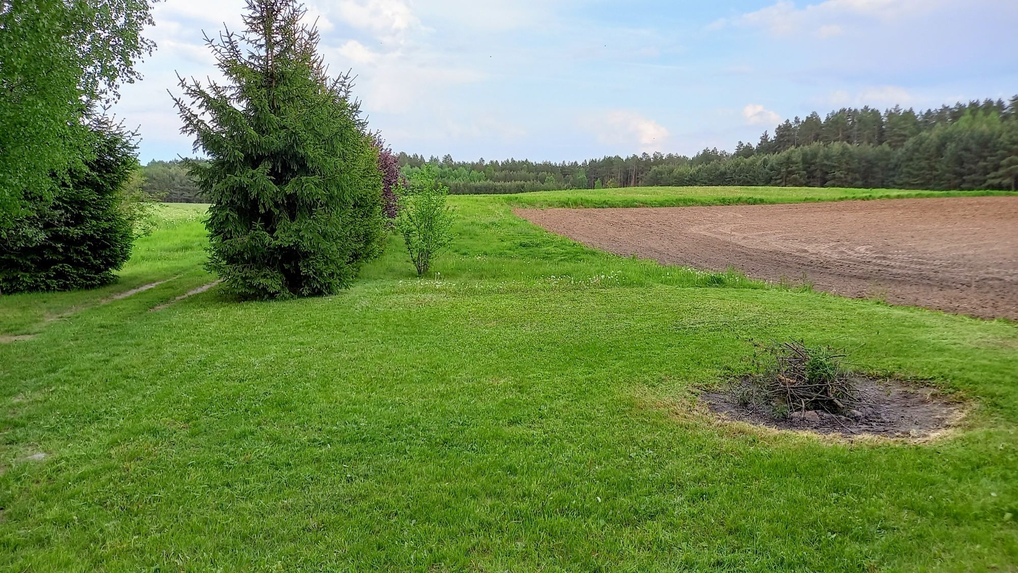 Działka na ognisko, namioty, camping, NA WYNAJEM