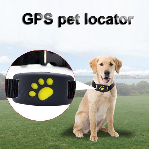 localizador gps para cão ou gato rastreador gps para animais e não só