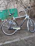 Rower gazella Orange