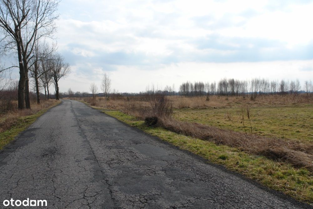 Grunt Rolny przy drodze asfaltowej Bieniowice gm. Kunice koło Legnicy