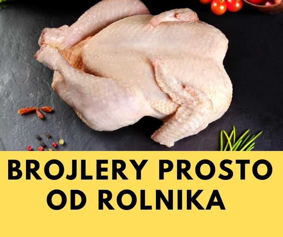 Kurczaki Brojlery wiejskie nie ( kury jaja perlice kroliki kaczki )
