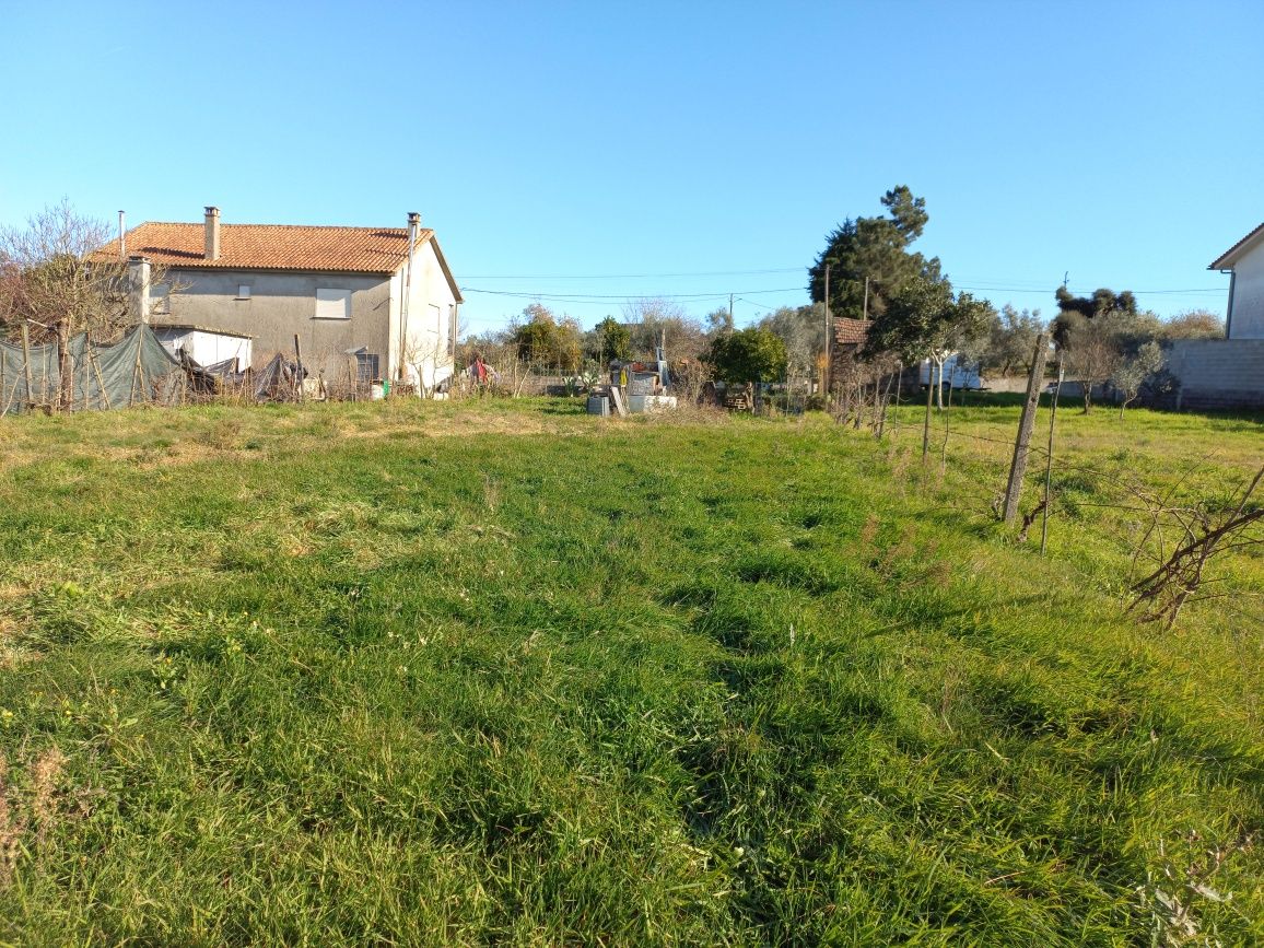 Terreno  em Carregal do Sal, com  luz, tanque e poço