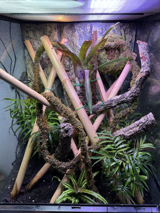 Terrarium exo terra 45x45x60