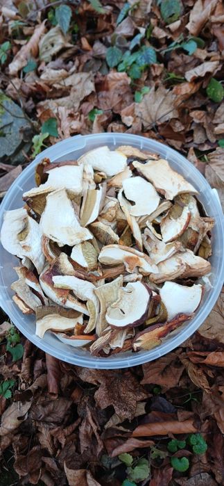 Гриби білі сушені, карпатські (сушеные белые грибы)