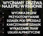 Alpinistyczna wycinka drzew, karczowanie działek! Całe lubelskie