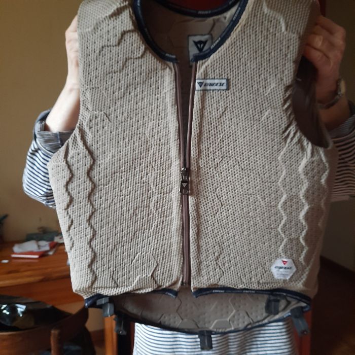 Kamizelka jeździecka Dainese