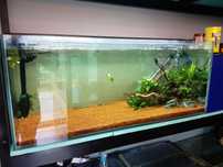 Vendo aquario 120/50/50