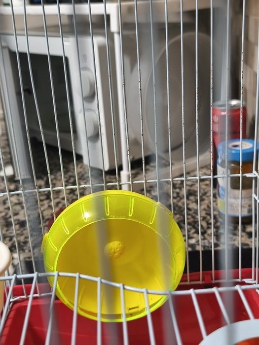Gaiola Hamsters completa novinha