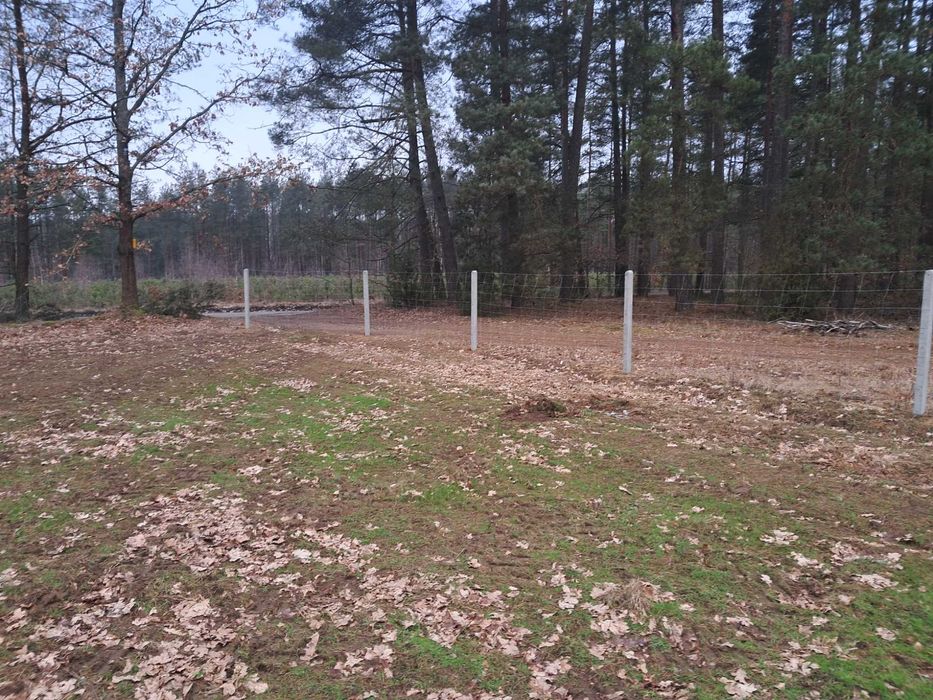 Ogrodzenie z siatki leśnej tymczasowe stałe działki siatka słupki