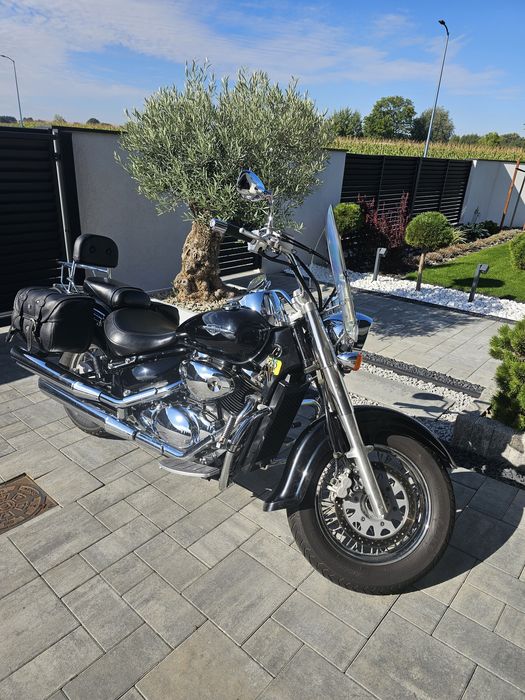 Suzuki intruder 800