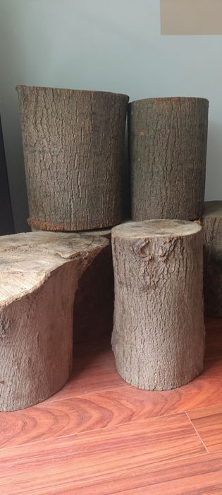 Pieńki drewniane zestaw