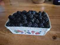 Jeżyny leśne 250g
