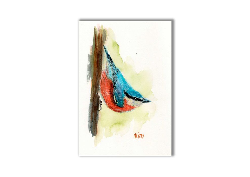Akwarela ręcznie malowana "Kowalik" ptaki + rama
