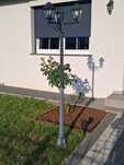 Latarnia 3 ramienna