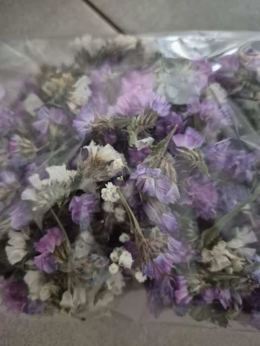 Susz kwiatowy zatrwian gipsówka suszone kwiaty