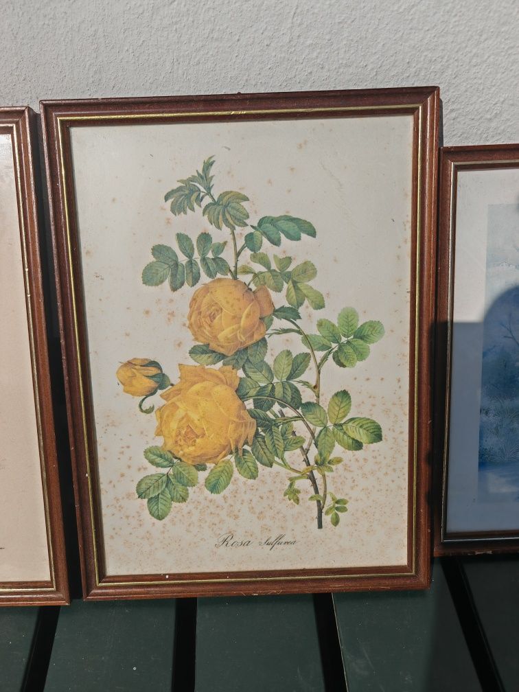 Quadros (azulejo e outros)