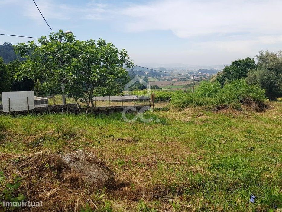 Terreno em Jesufrei!