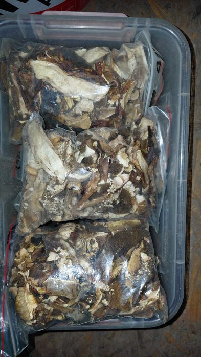 Borowiki suszone 2kg