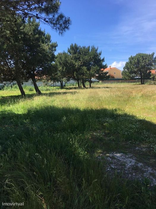 Terreno em  ST. Cruz