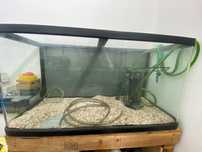 Aquário água doce 200L