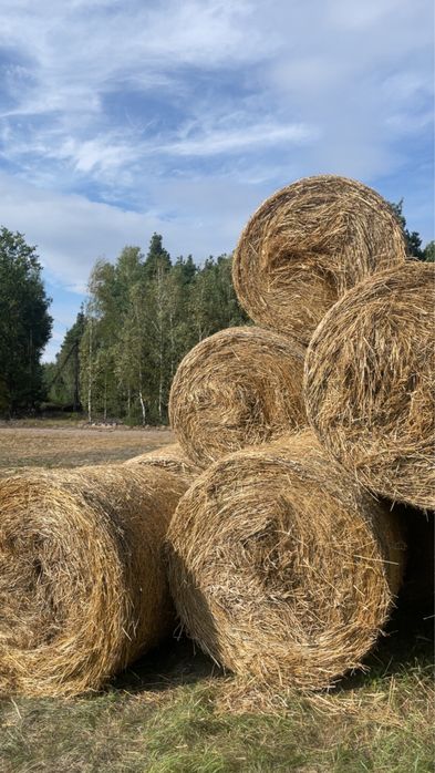 sprzedam słome i siano