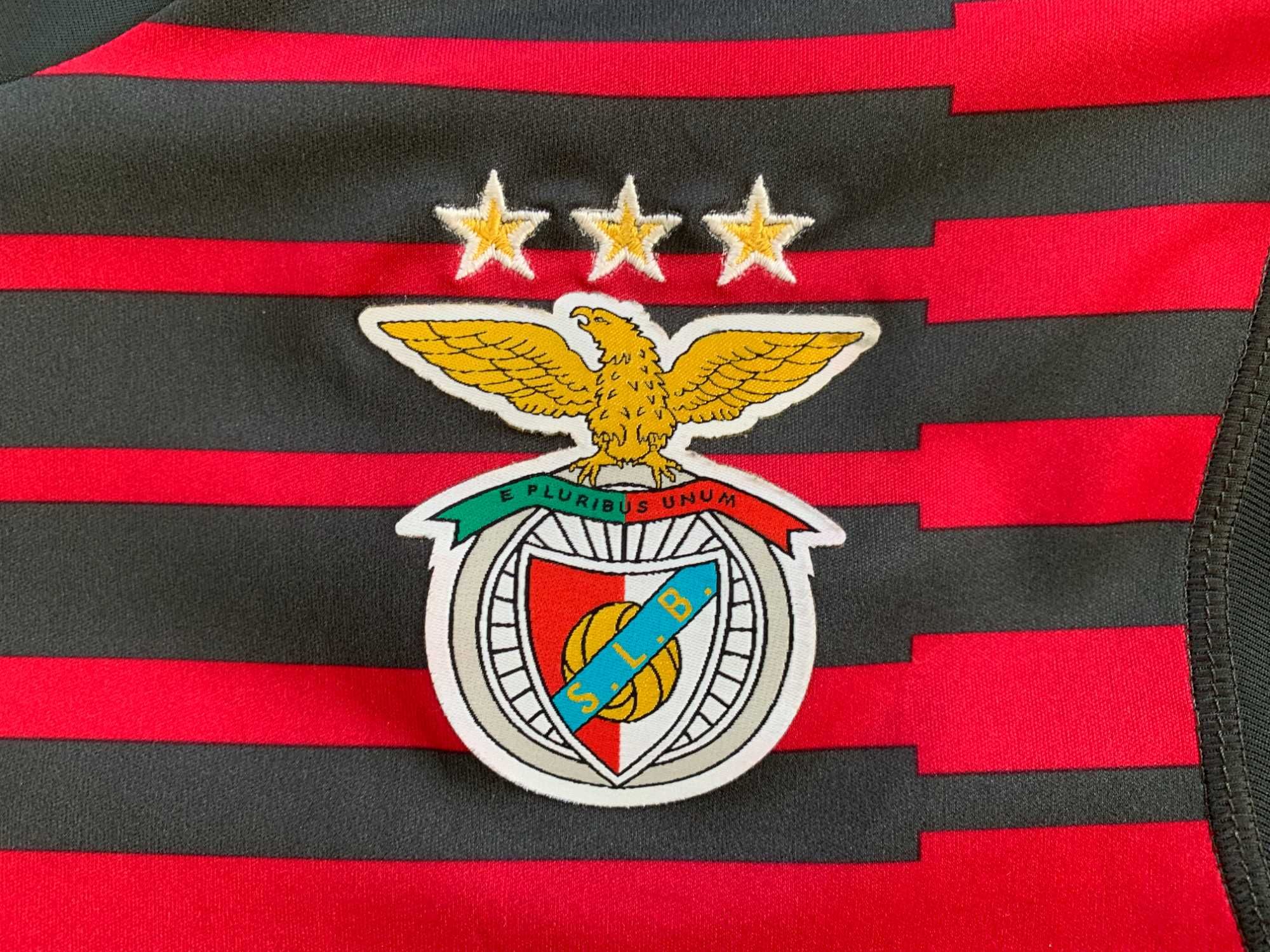 Camisola Benfica guarda-redes 2018, 2019