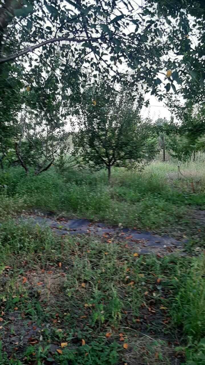 Продам дом Васищево