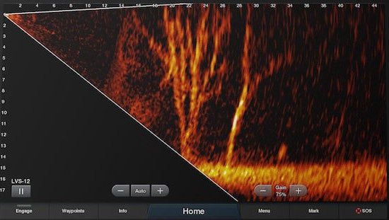 Panoptix Livescope LVS12