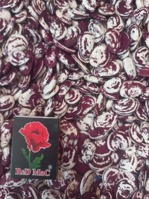 Продам квасолю урожай 2025 року