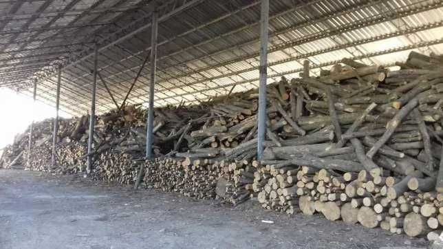 Дрова колоті дуб акація береза клен сосна фруктові