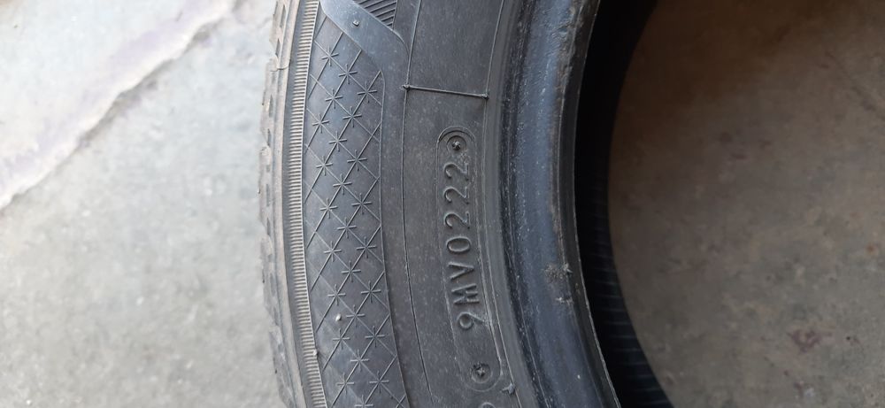 175 65 R14 82T Toyo Celsius 2022