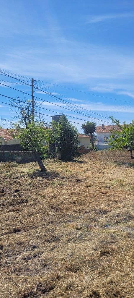 Manutenção de jardins/Limpeza de terrenos