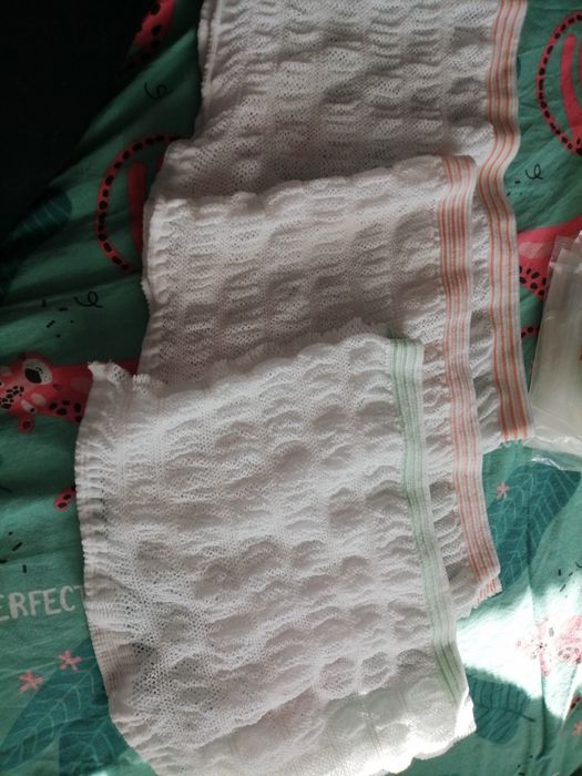 Kolektor pokarmu, majtki poporodow i laktator muszlowye, woreczki i os