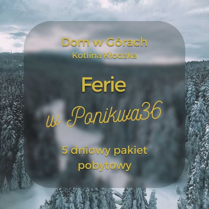Ferie w górach, do 16 osób, narty, sala zabaw, sauna, bilard, siłownia