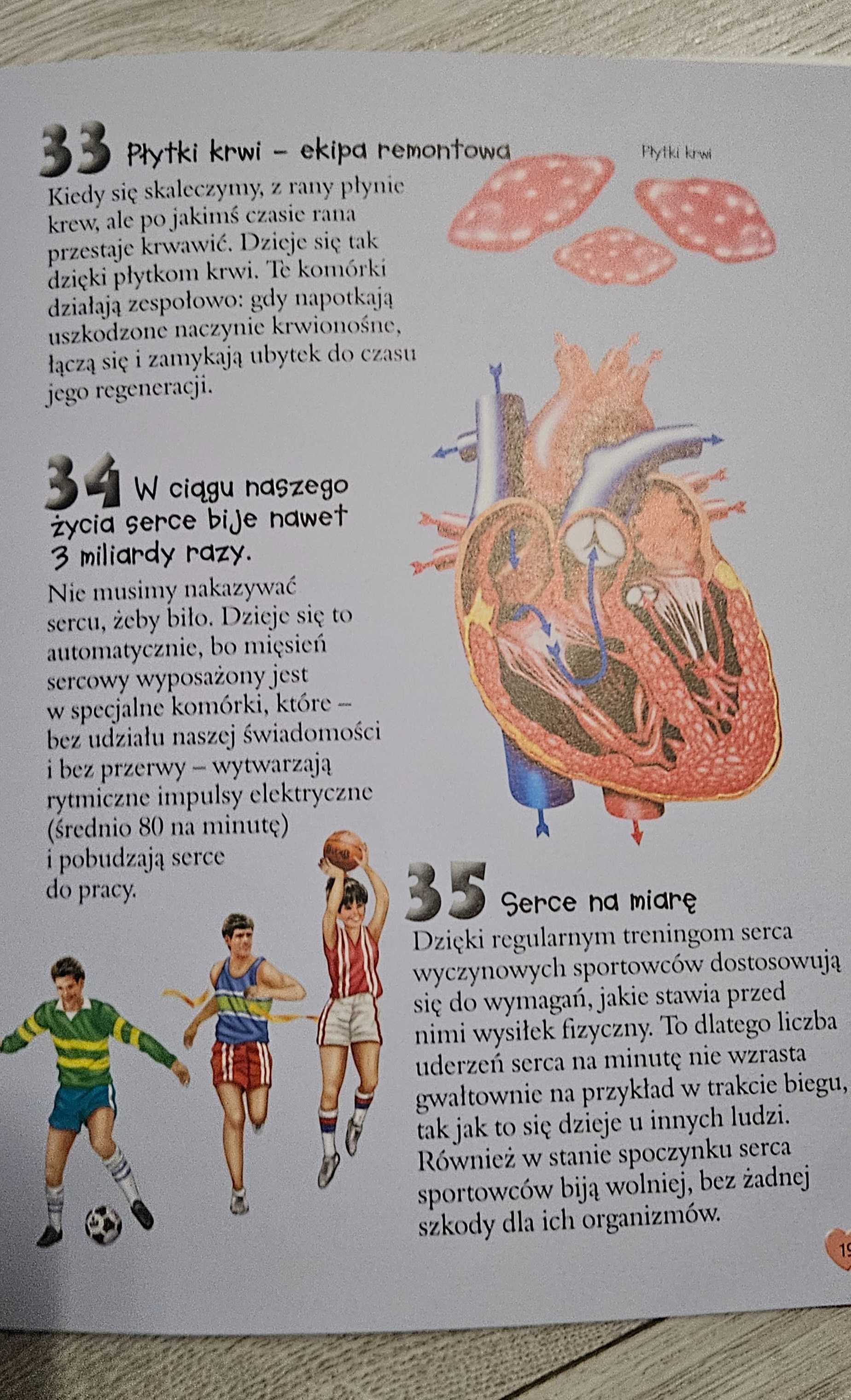 Książki " 101 ciekawostek; ludzkie ciało" i "100 bezkręgowców"