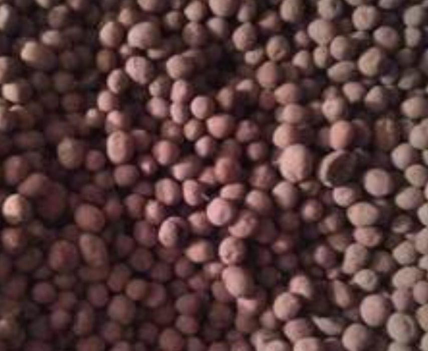 Картопля дрібна 2,50грн.