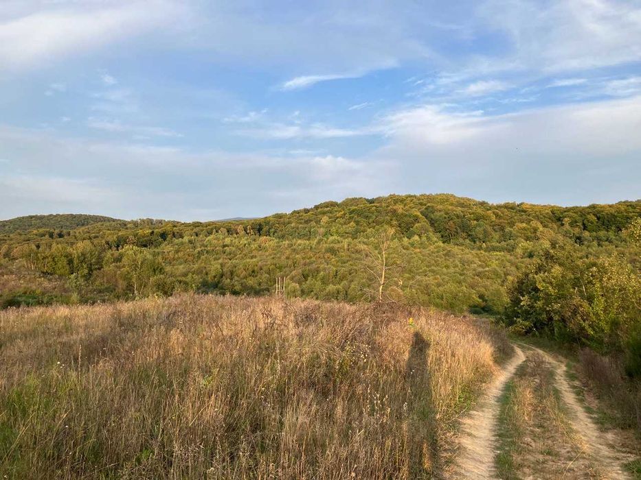 земельна ділянка осг 2га панорамна мукачево
