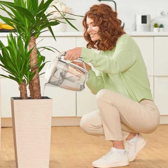 5 літрів Фільтр-кувшин Ecosoft Maxima білий перлинний з картриджем