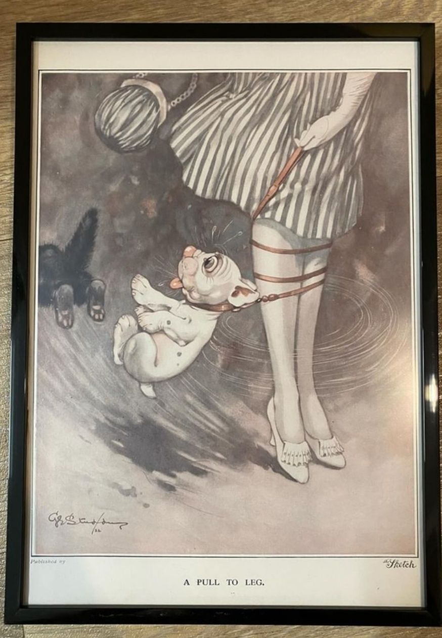 Антикварний постер гравюра картина пес BONZO 1922 рік оригінал, Англія