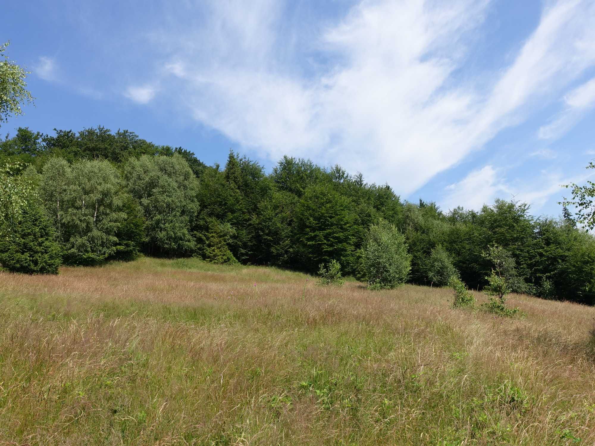 Brenna 2,53 ha inwestycyjna blisko wyciągu orczykowego piękna panorama