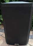 Kolumna aktywna Alto TS-310