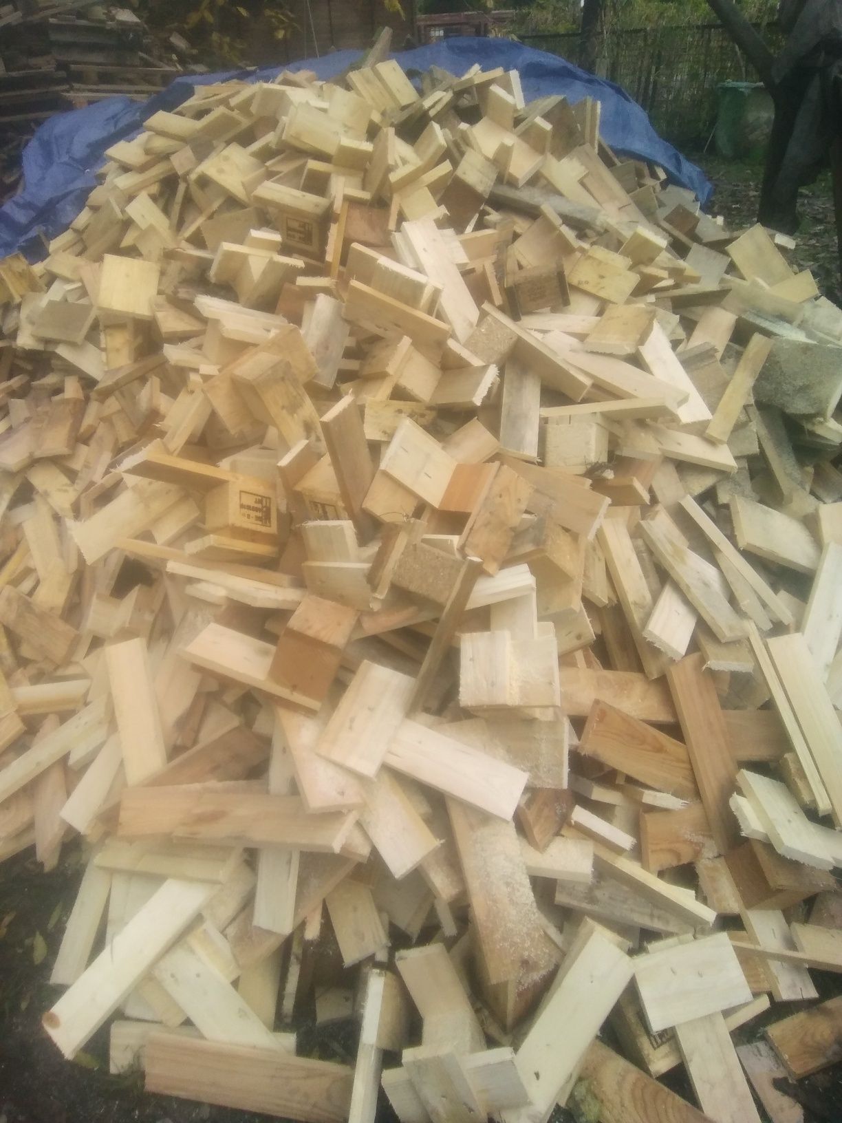 Drewno drzewo opał pocięte palety 150  PLN m3, nie impregnowane