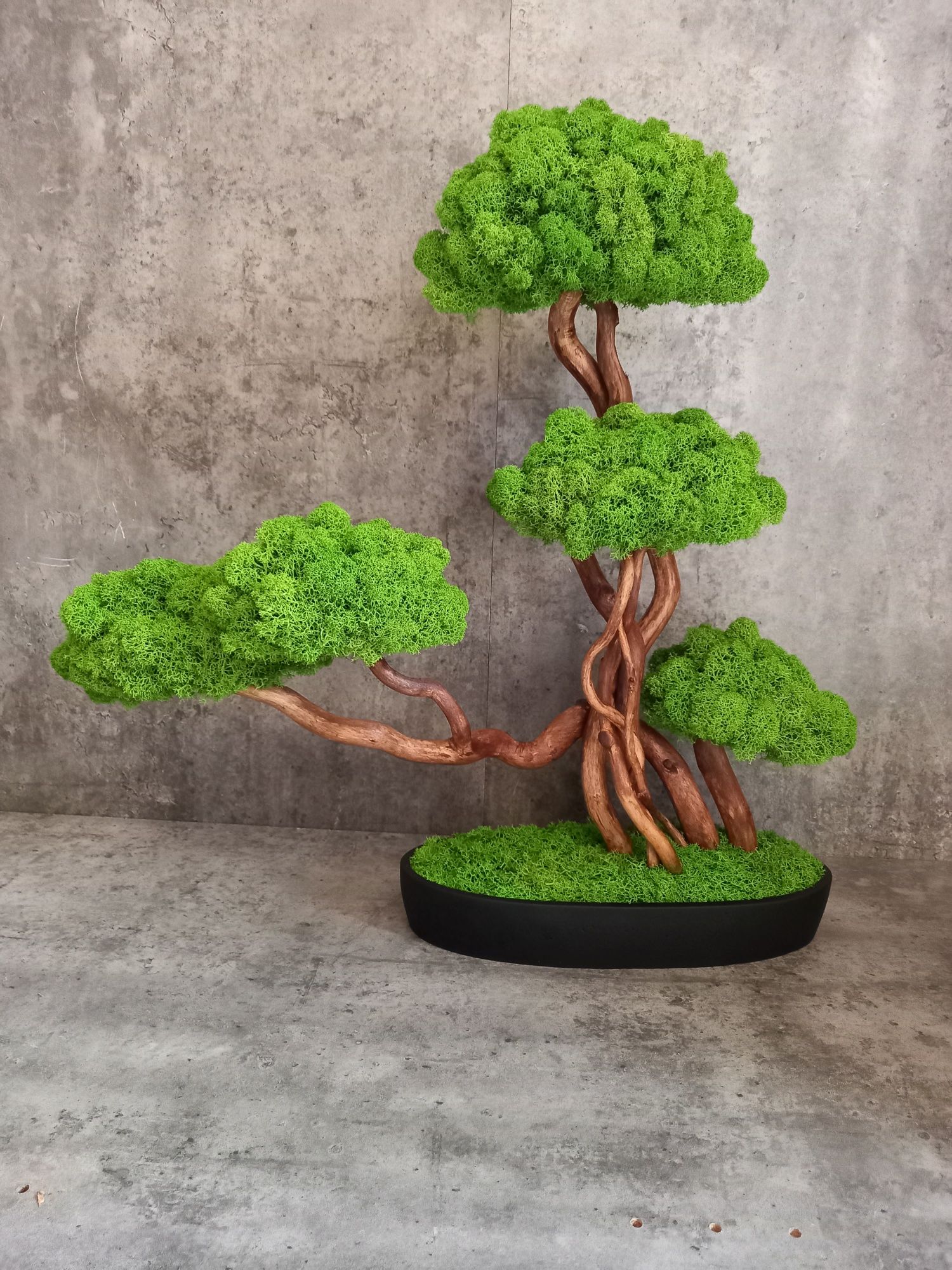 Dekoracja do domu, biura. Drzewko Bonsai. Mech  Chrobotek. Prezent.
